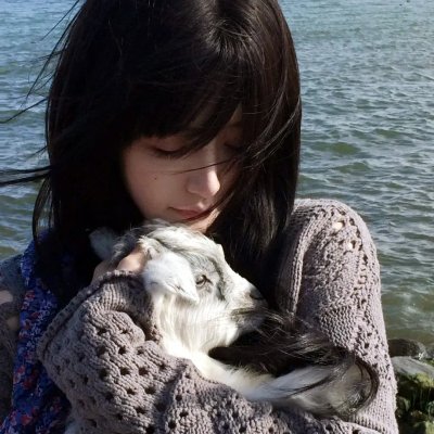 爱在猫咪疗愈时